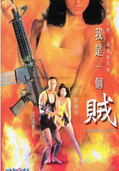 我是一个贼封面图