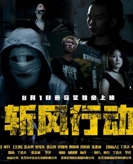 斩风行动封面图