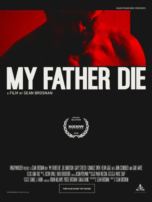 弑父之殇封面图