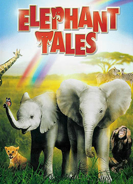 小象寻母封面图