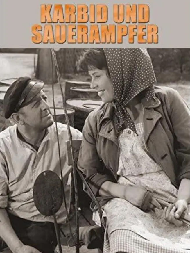 电石与酸模封面图