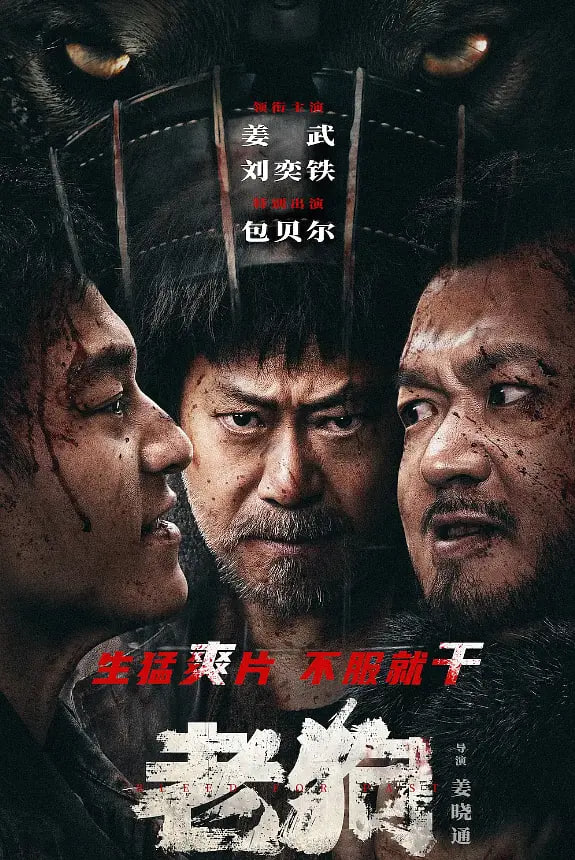 老狗封面图