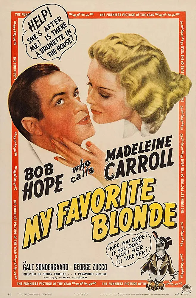 傻侠护花封面图