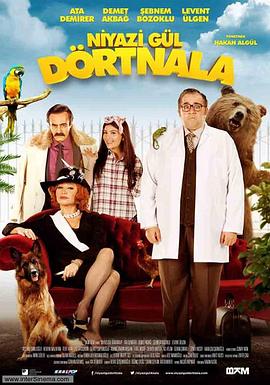 尼亚孜.古尔历险记封面图