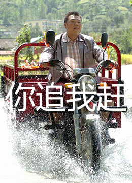 你追我赶封面图