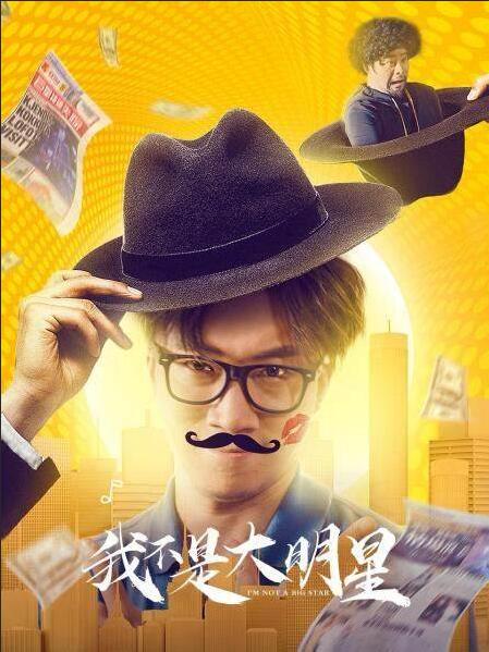 我不是大明星封面图