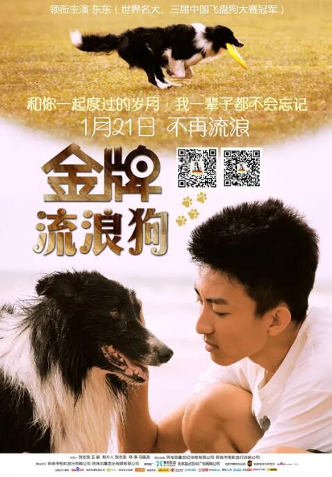 金牌流浪狗封面图