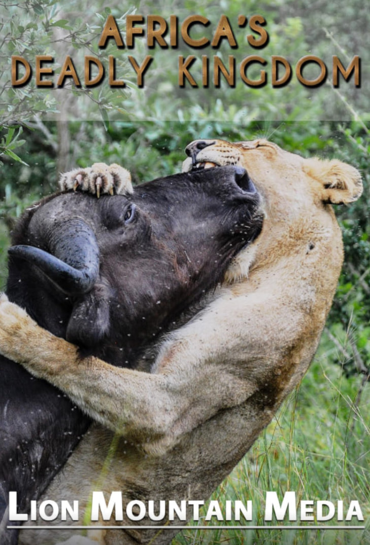 非洲致命国度封面图