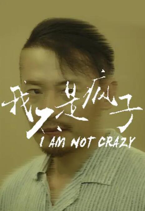 我不是疯子封面图