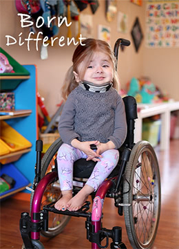 天赋异禀封面图