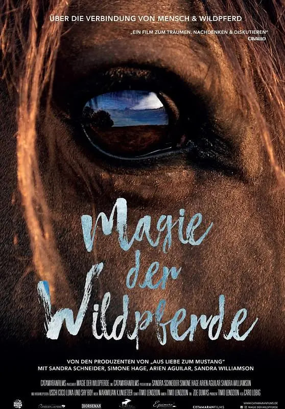 野马的魔力封面图