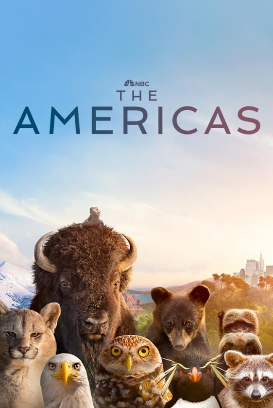 美洲大陆 第一季封面图