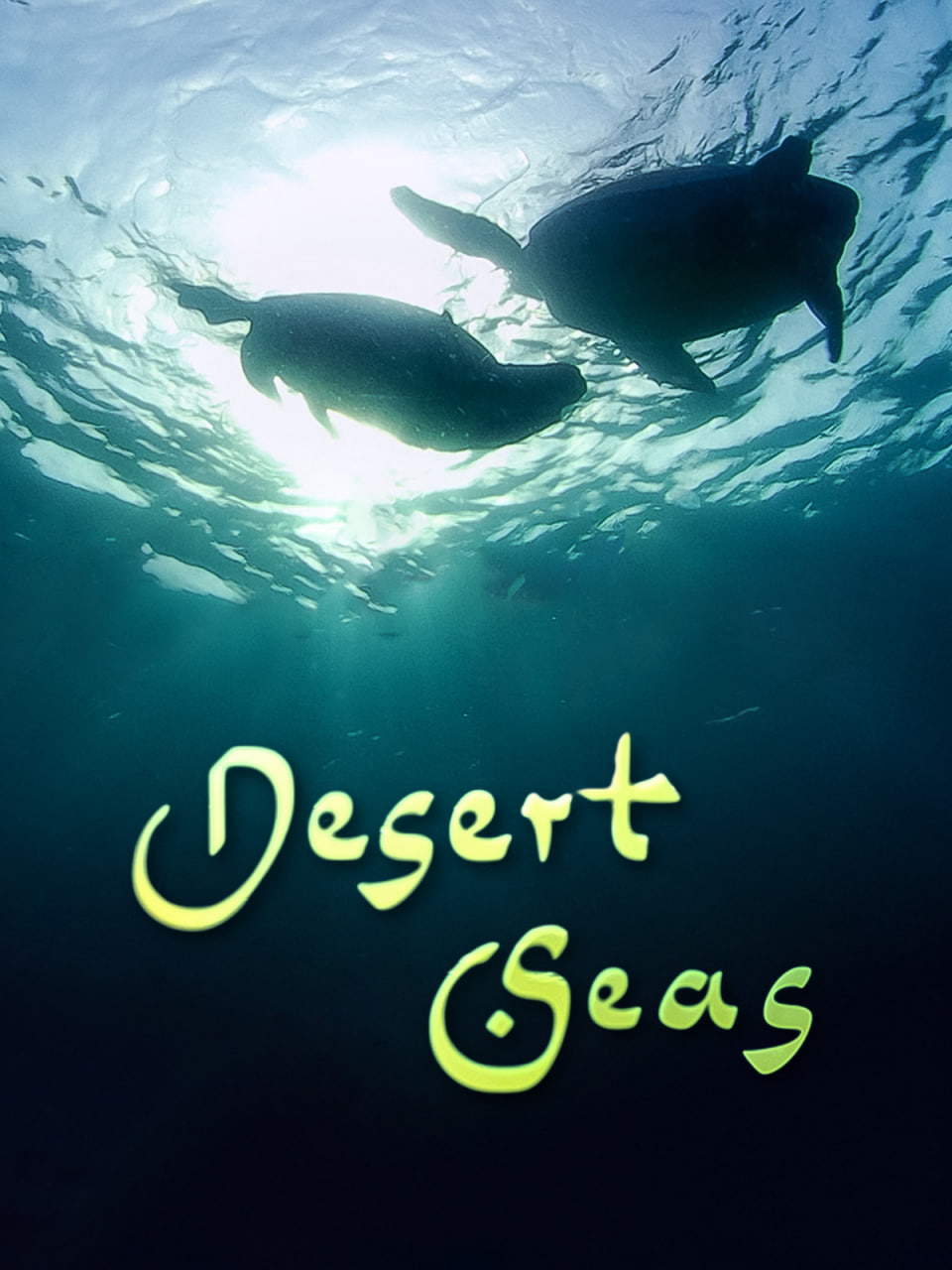 沙漠之海封面图