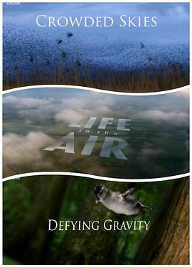 空中生灵封面图