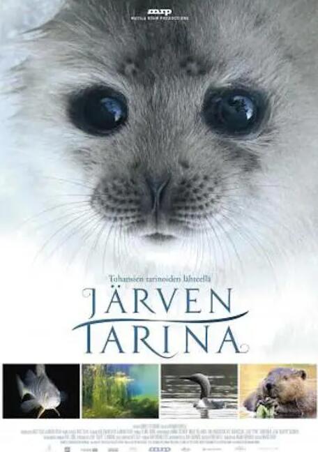 湖泊的传说封面图