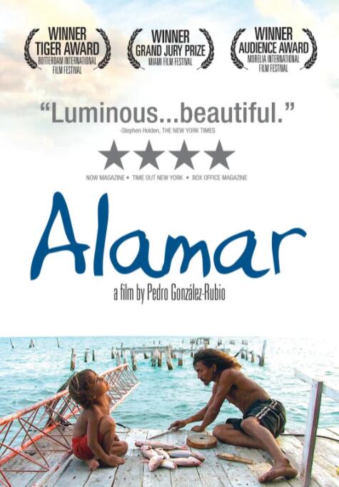 拥抱大海封面图