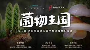 菌物王国封面图