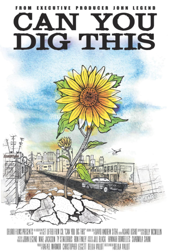 你能理解吗封面图