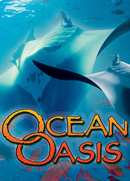 海洋绿洲封面图