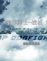 战机：空中勇士 第七季封面图