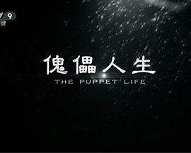 傀儡人生封面图
