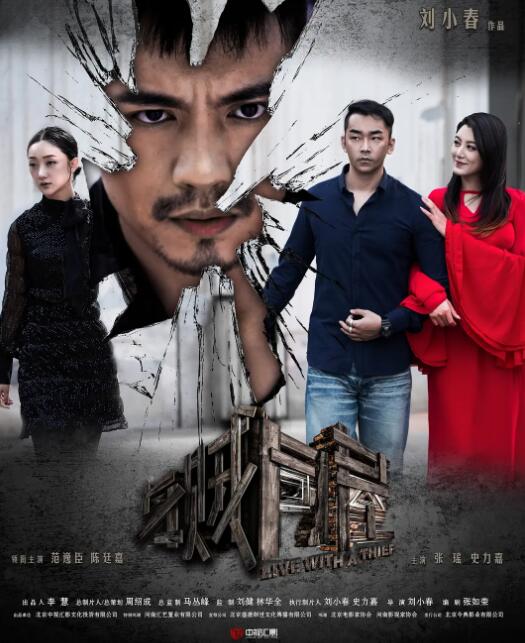 与贼同屋封面图