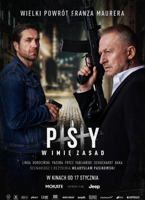 以规则之名封面图