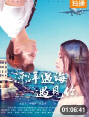 漂洋过海遇见你封面图