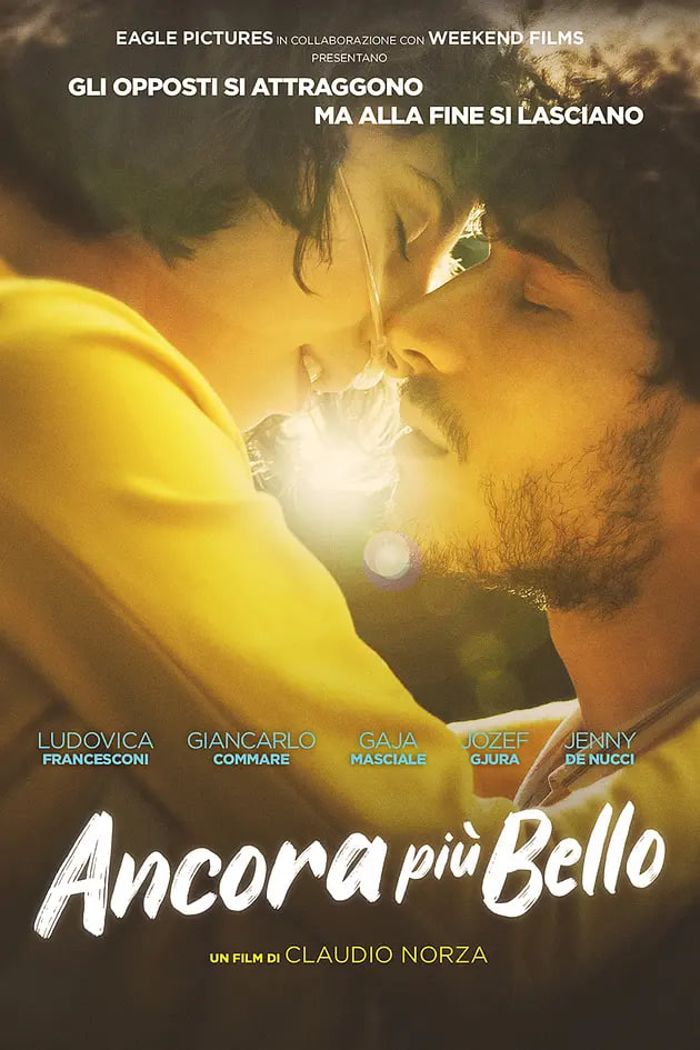 美丽至极2封面图