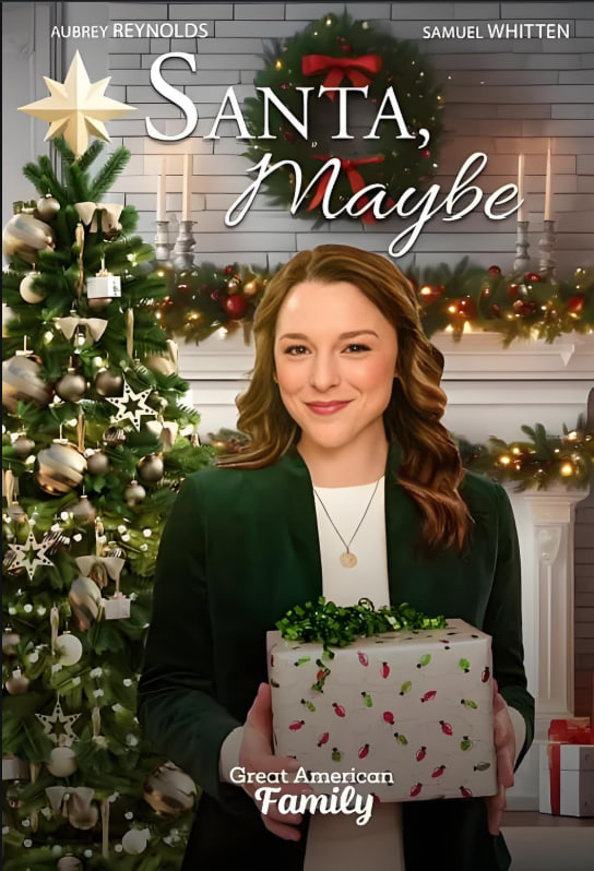 圣诞老人，也许吧封面图