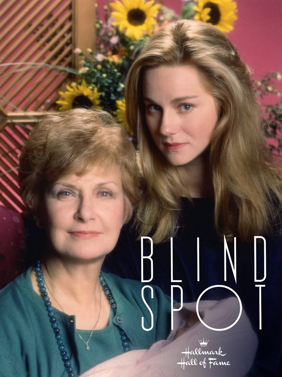 盲点 1993封面图