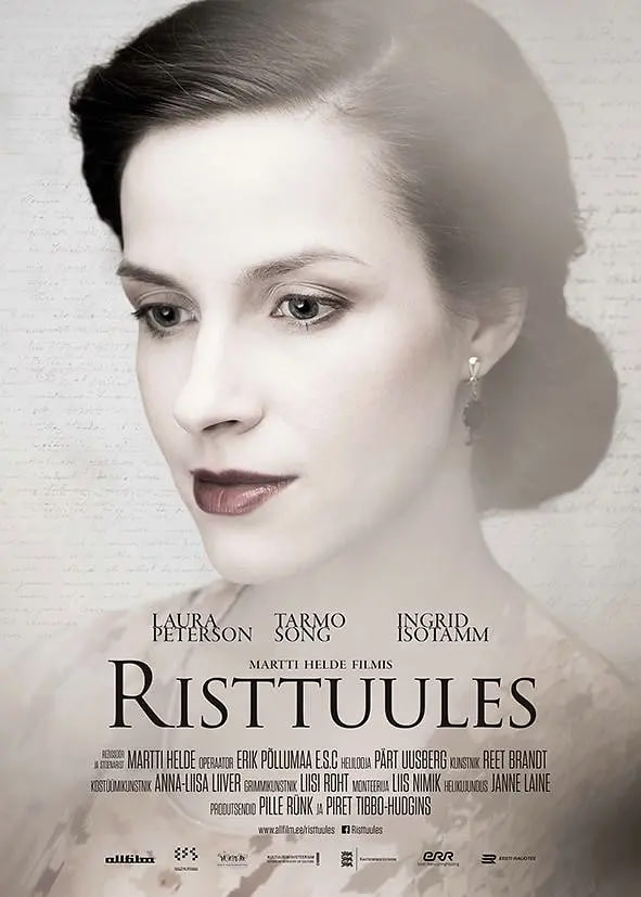 横风之中封面图