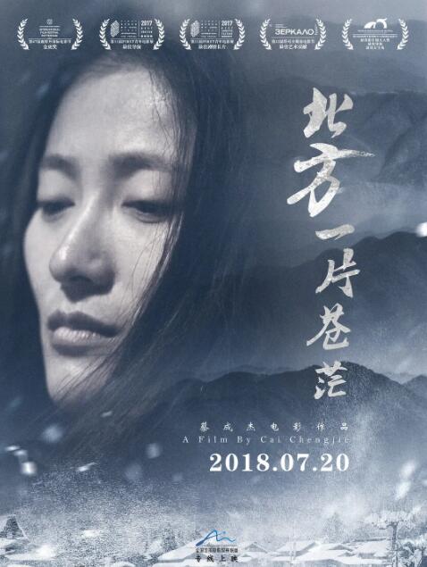 北方一片苍茫封面图