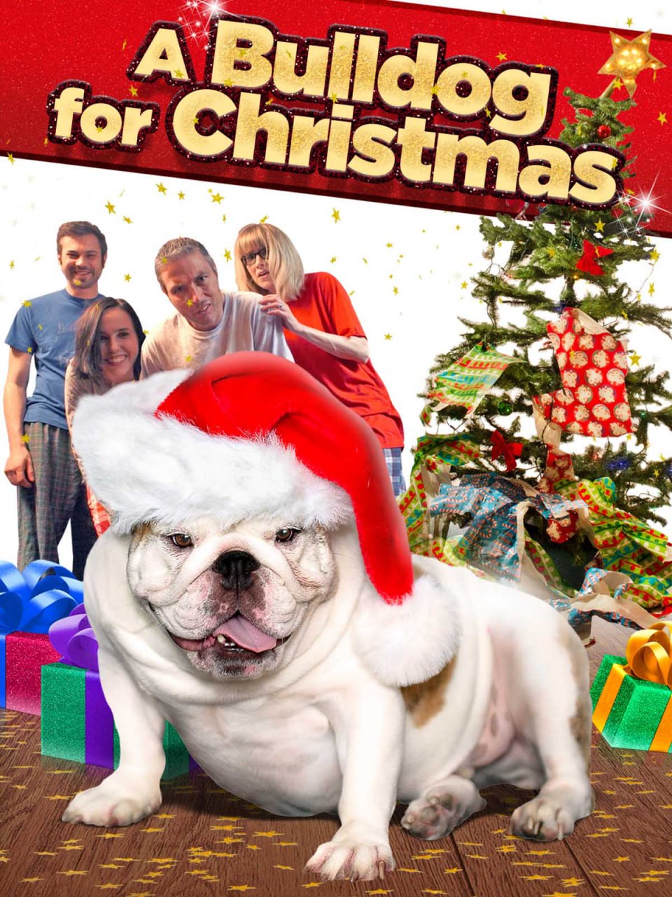 圣诞节的斗牛犬封面图