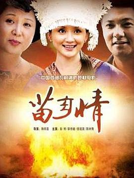 苗乡情封面图