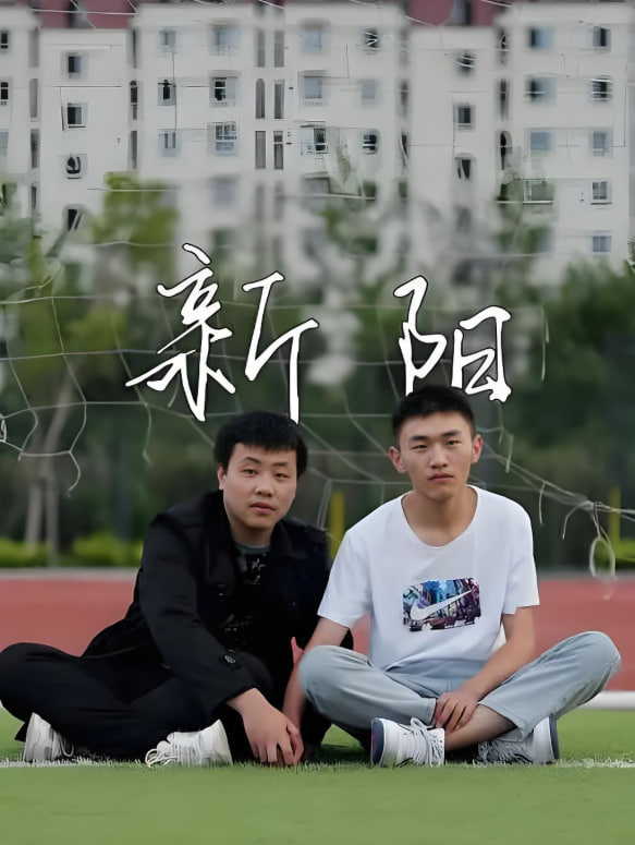 新阳 2022封面图