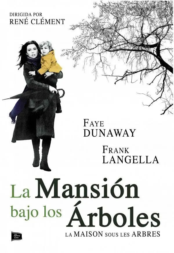 雾锁巴黎封面图