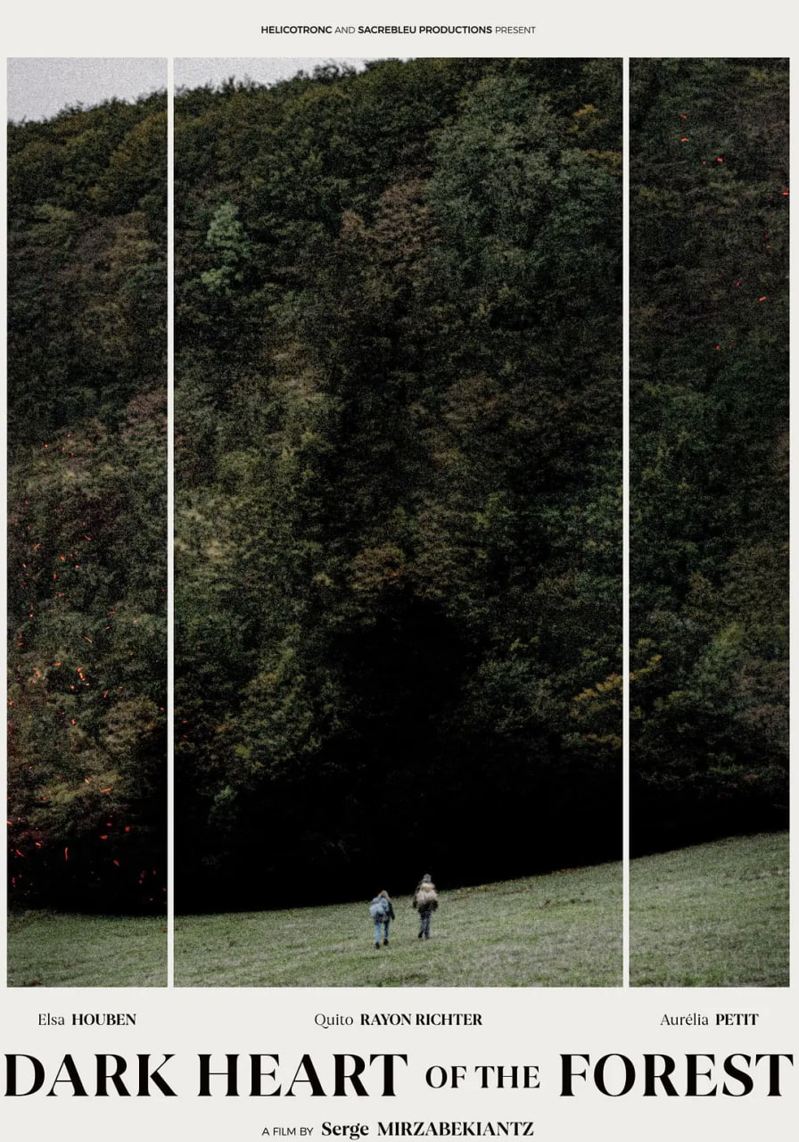 森林的黑暗心脏封面图