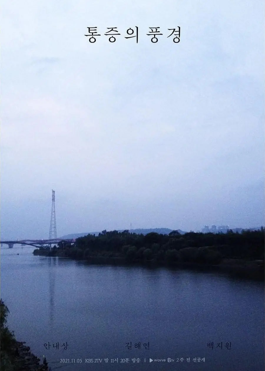 疼痛的风景封面图