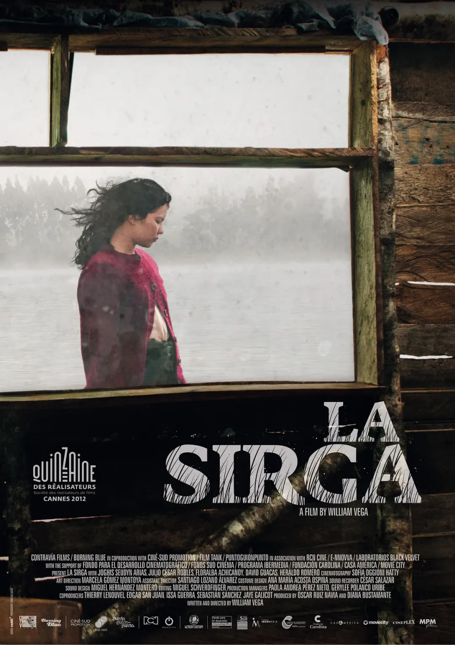 薄雾微光封面图