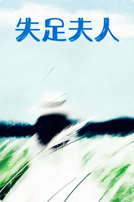 失足夫人封面图