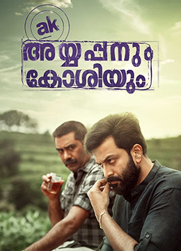 阿亚潘和柯西（英语版）封面图