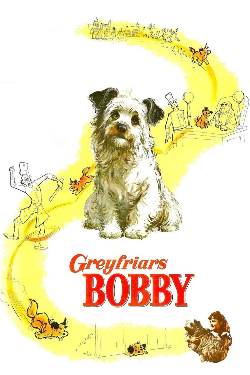 绿野小英雄封面图