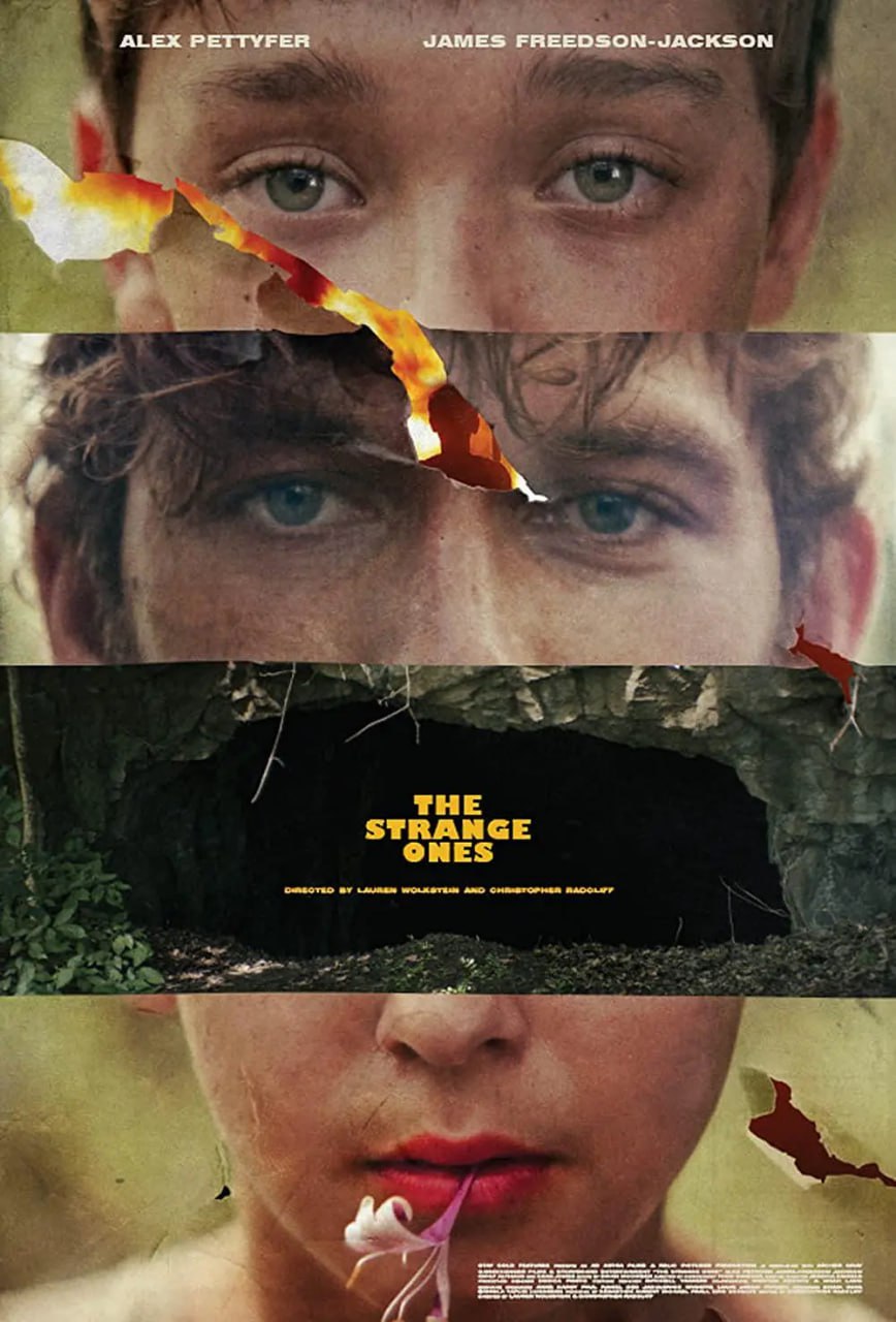 只杀陌生人封面图