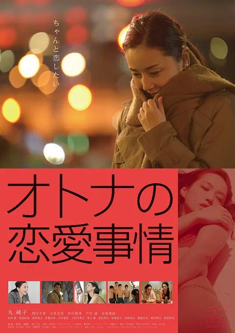 成年人的爱情故事封面图