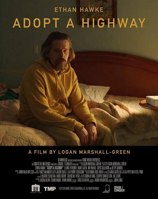 捡来的孩子封面图