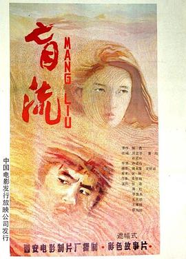 盲流封面图
