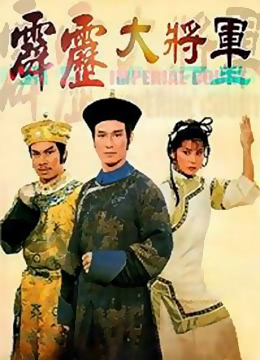 霹雳大将军封面图