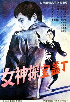 女神探宝盖丁封面图