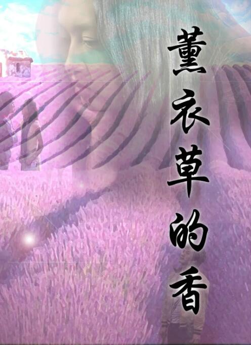 薰衣草的香封面图